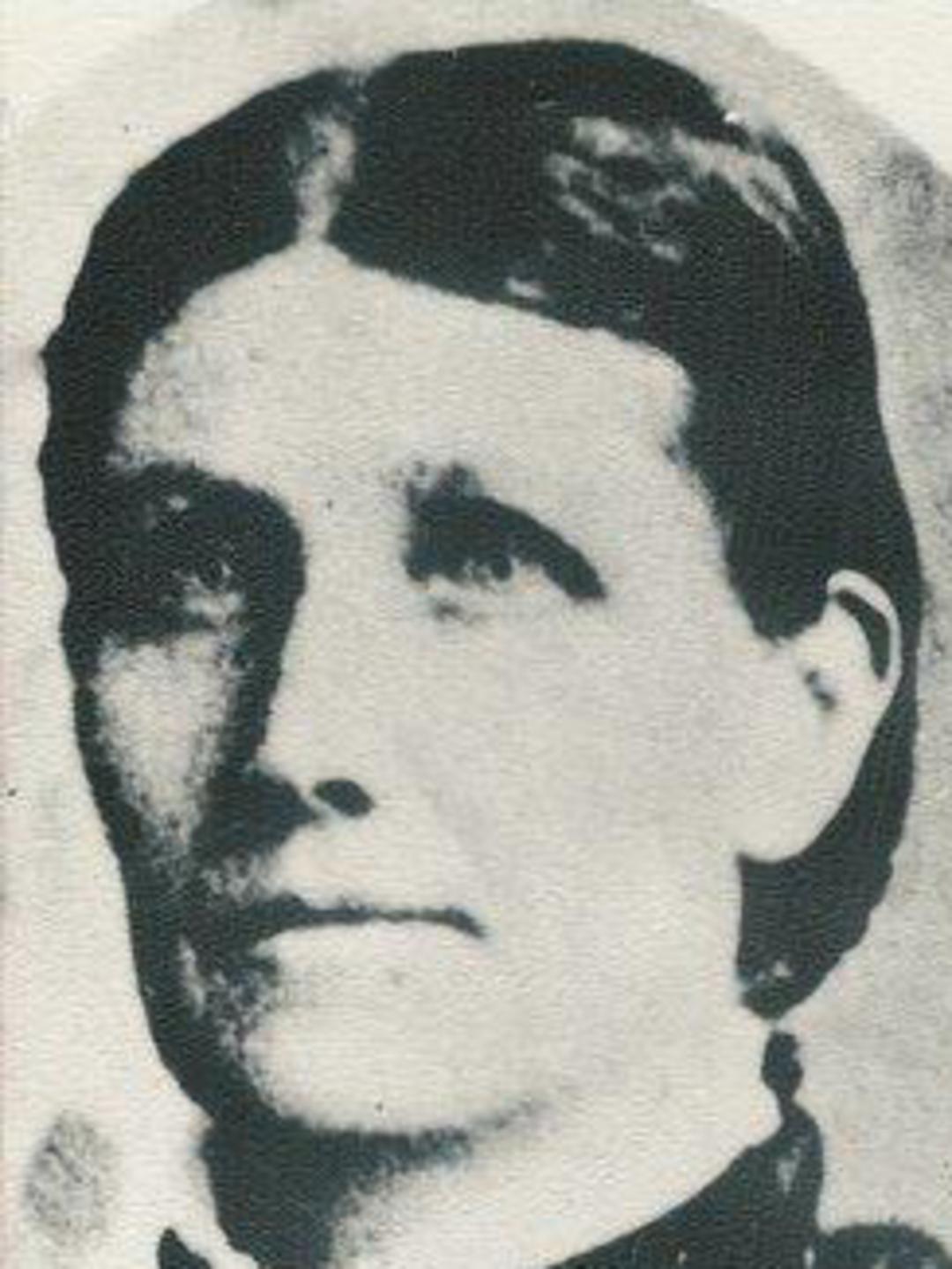 Almira North (1843 - 1916) Profile